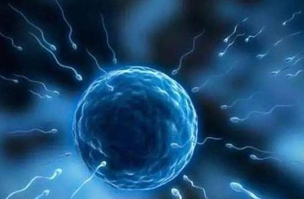 对比分析：泰国三代试管婴儿成功率与国内比，更高吗？