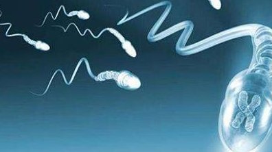 做人工受孕痛吗？做过人的都说不痛