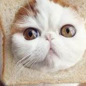 试管促排期间盆腔积液怎么治疗？促排出现积液要怎么办？