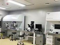 大连试管婴儿成功率排名榜单揭秘，哪家好看完就知道