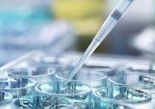 青海试管不排队费用参考，普通工薪家庭也能生孩子