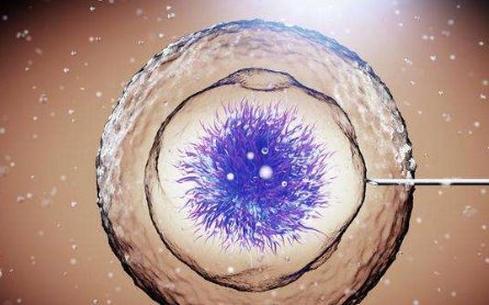 不孕不育在绍兴市做试管的费用有多少？一文告诉你做三代试管建档的流程有哪些